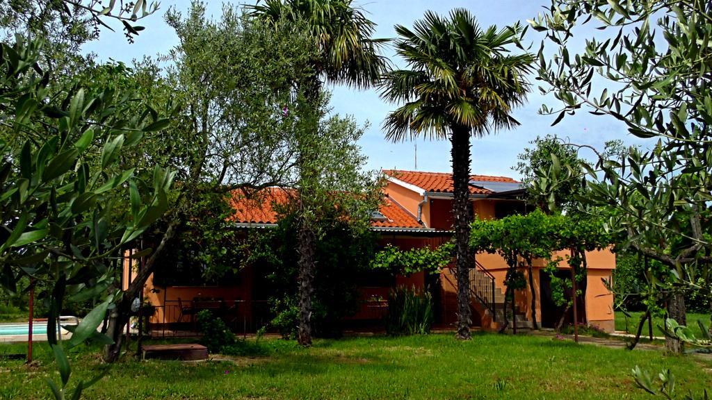 Apartments Garden Monsena Rovinj Eksteriør billede